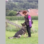 Moni - das ist ein Vorsitz.JPG